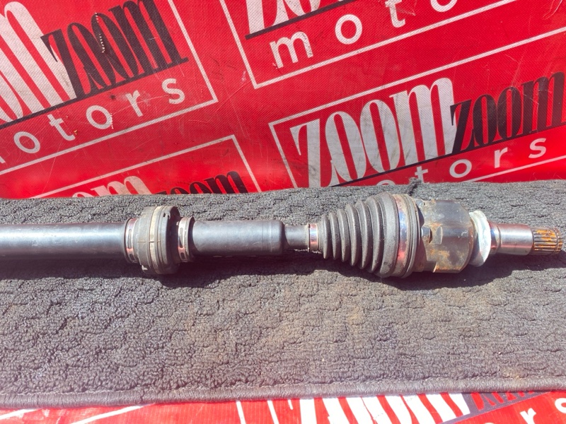 Привод, 3400 рублей, Солонцы