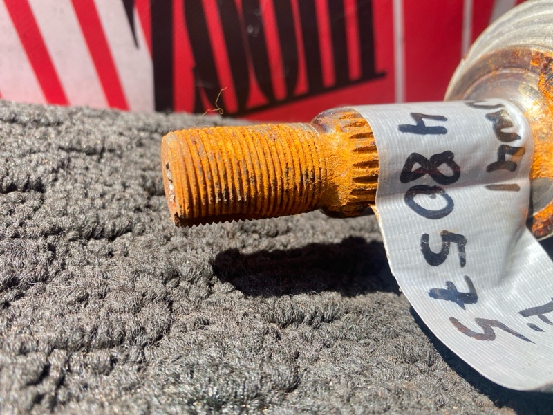 Привод, 3400 рублей, Солонцы