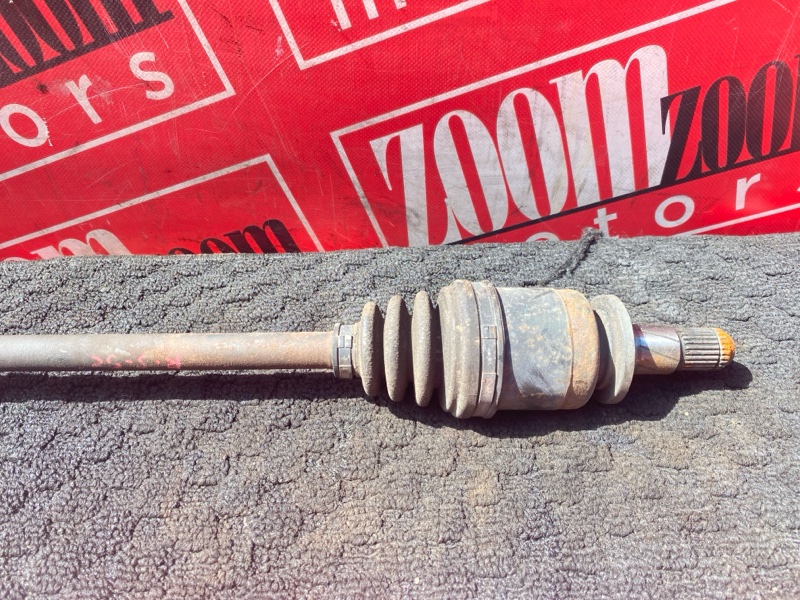 Привод, 1000 рублей, Солонцы