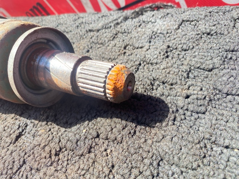 Привод, 1000 рублей, Солонцы