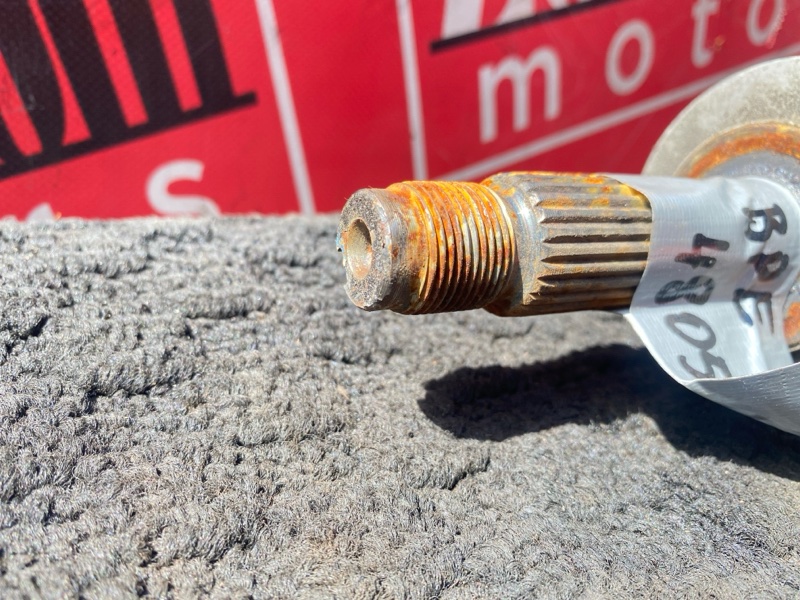 Привод, 1000 рублей, Солонцы