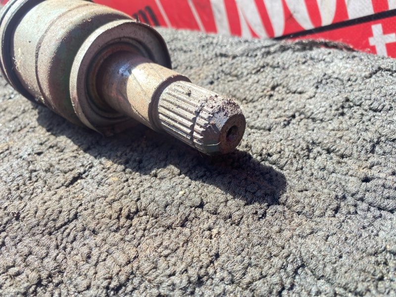 Привод, 1000 рублей, Солонцы