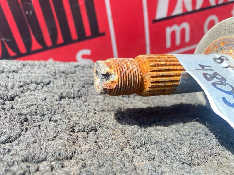 Привод, 1000 рублей, Солонцы