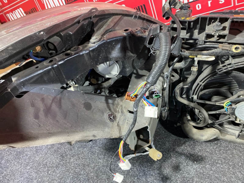 Nose cut, 57000 рублей, Красноярск