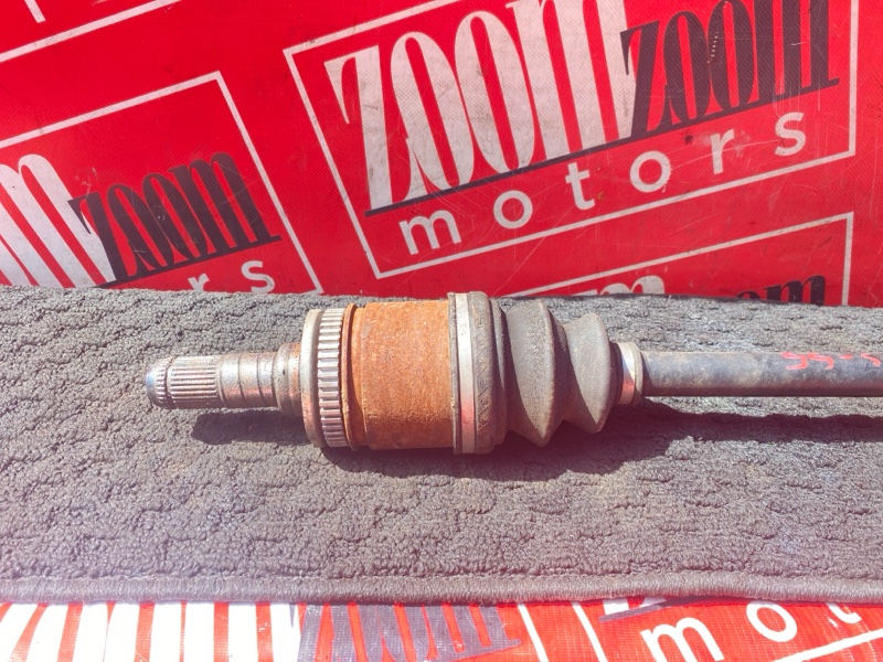 Привод, 2400 рублей, Солонцы