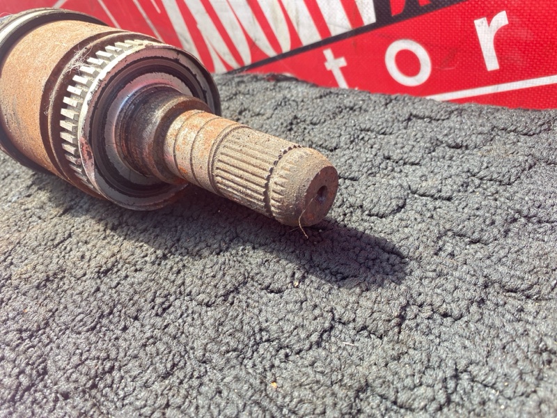 Привод, 2400 рублей, Солонцы