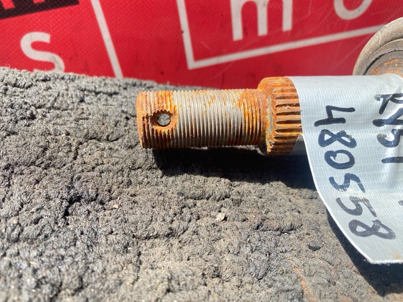 Привод, 2400 рублей, Солонцы