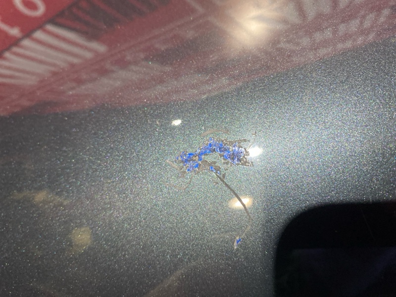 Крыло, 8800 рублей, Солонцы