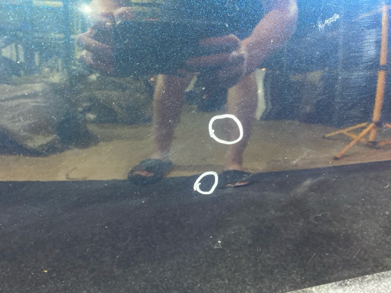 Капот, 38000 рублей, Солонцы