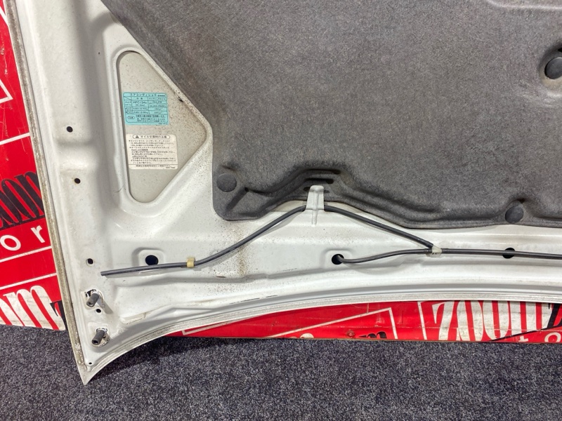 Капот, 2800 рублей, Солонцы