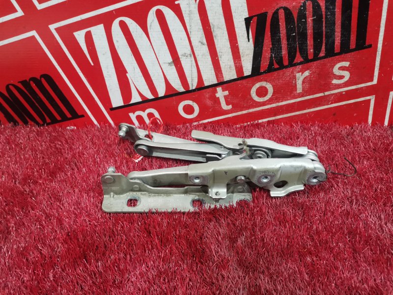 Петля (Шарнир капота), 1500 рублей, Солонцы