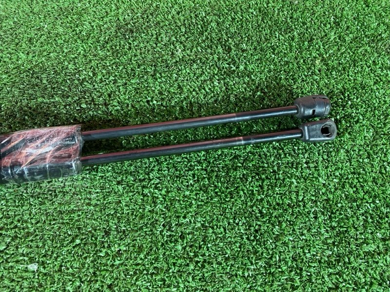 Амортизатор багажника, 1300 рублей, Солонцы