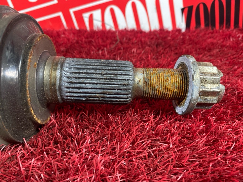 Привод, 1900 рублей, Солонцы