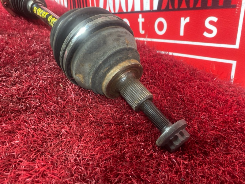 Привод, 2900 рублей, Солонцы