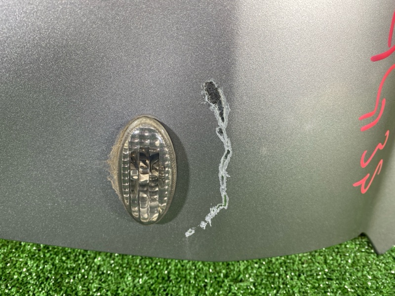 Крыло, 5700 рублей, Солонцы