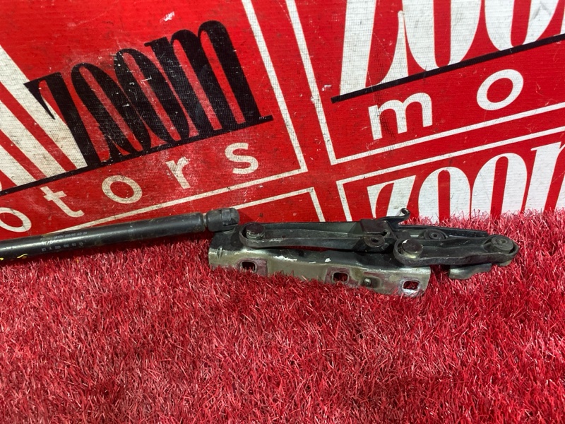 Петля (Шарнир капота), 1900 рублей, Солонцы