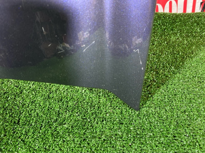 Крыло, 28500 рублей, Солонцы