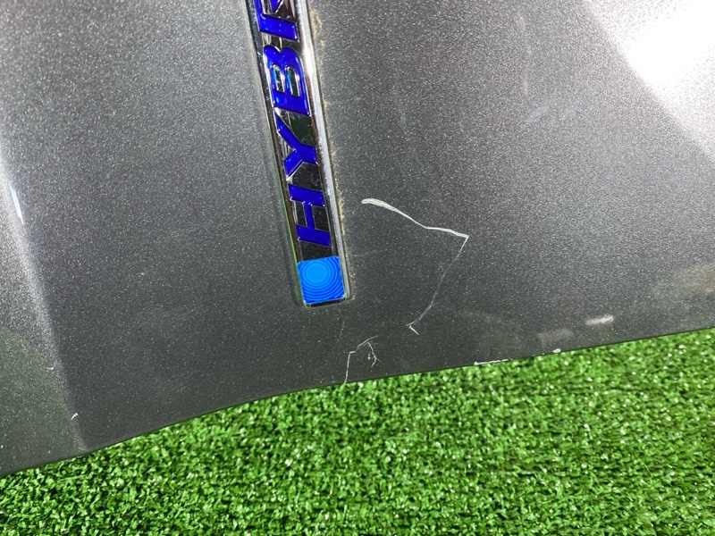 Крыло, 23800 рублей, Солонцы