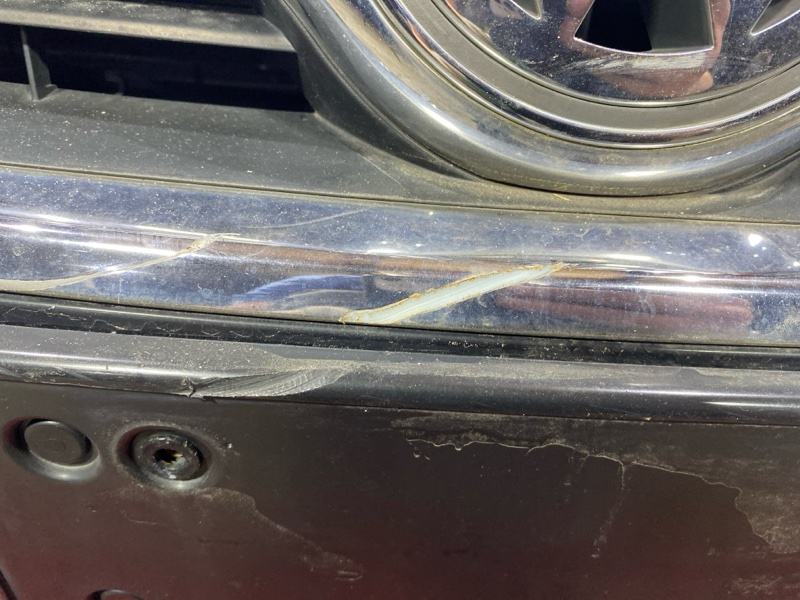 Nose cut, 121000 рублей, Солонцы