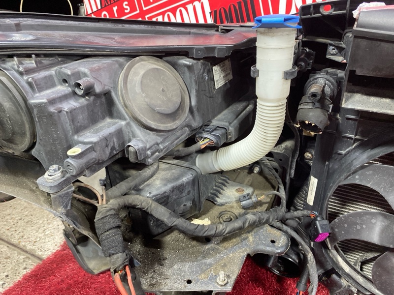 Nose cut, 121000 рублей, Солонцы