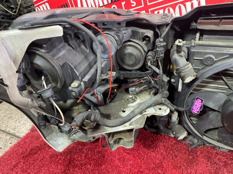 Nose cut, 47000 рублей, Солонцы