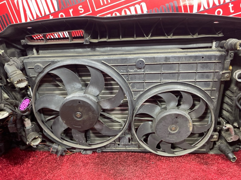 Nose cut, 47000 рублей, Солонцы