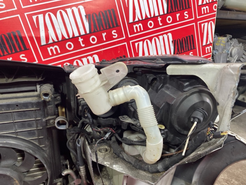 Nose cut, 47000 рублей, Солонцы