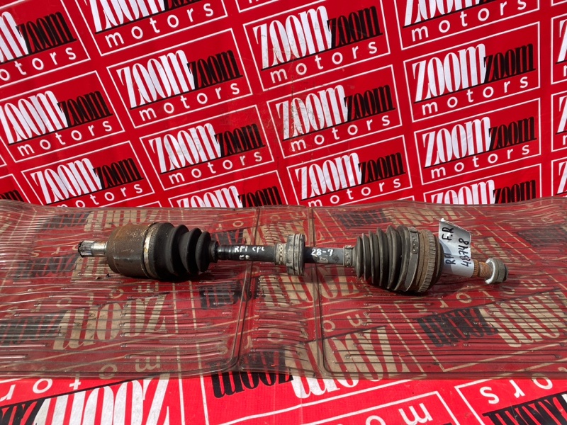 Привод, 2400 рублей, Солонцы