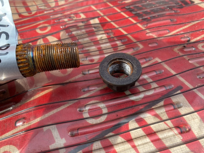 Привод, 1700 рублей, Солонцы