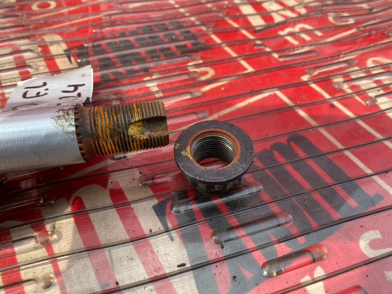 Привод, 1800 рублей, Солонцы