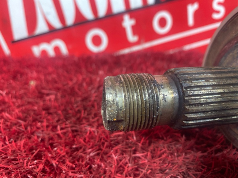 Привод, 1600 рублей, Солонцы