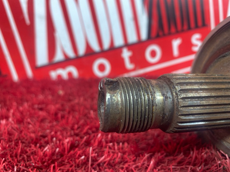 Привод, 1600 рублей, Солонцы