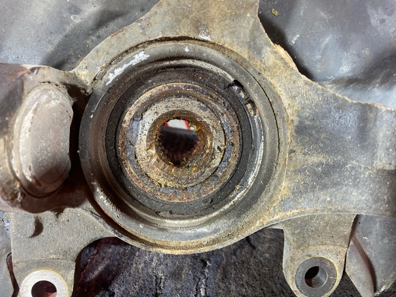 Ступица, 1000 рублей, Солонцы