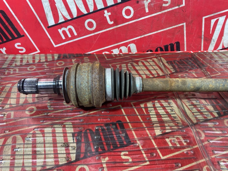 Привод, 3400 рублей, Солонцы