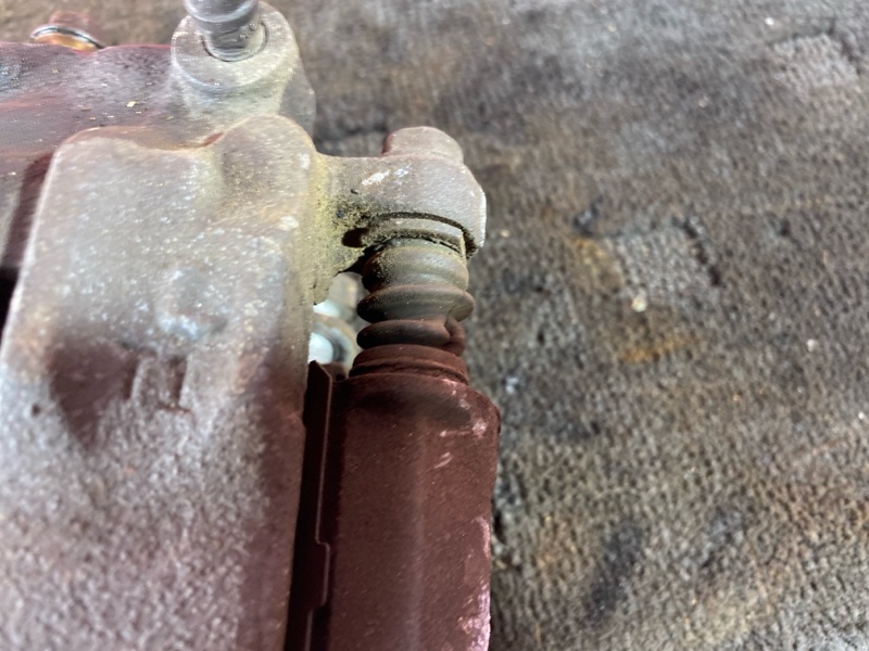 Суппорт, 1000 рублей, Солонцы