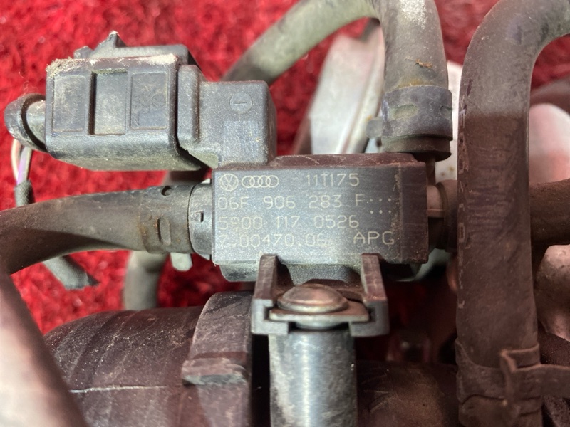 Турбина, 13600 рублей, Солонцы