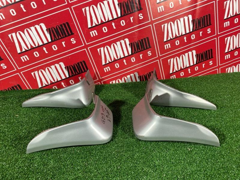 Брызговик, 1000 рублей, Солонцы