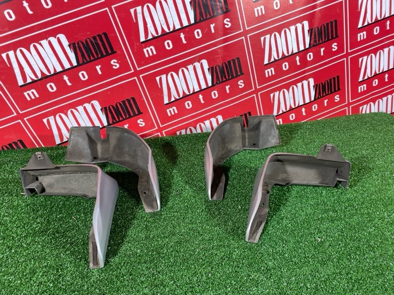 Брызговик, 1000 рублей, Солонцы