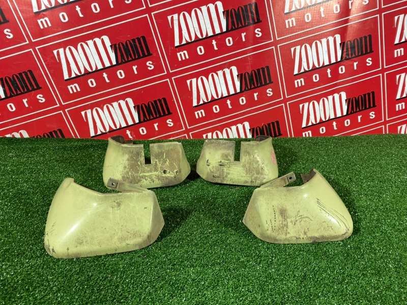 Брызговик, 1000 рублей, Солонцы