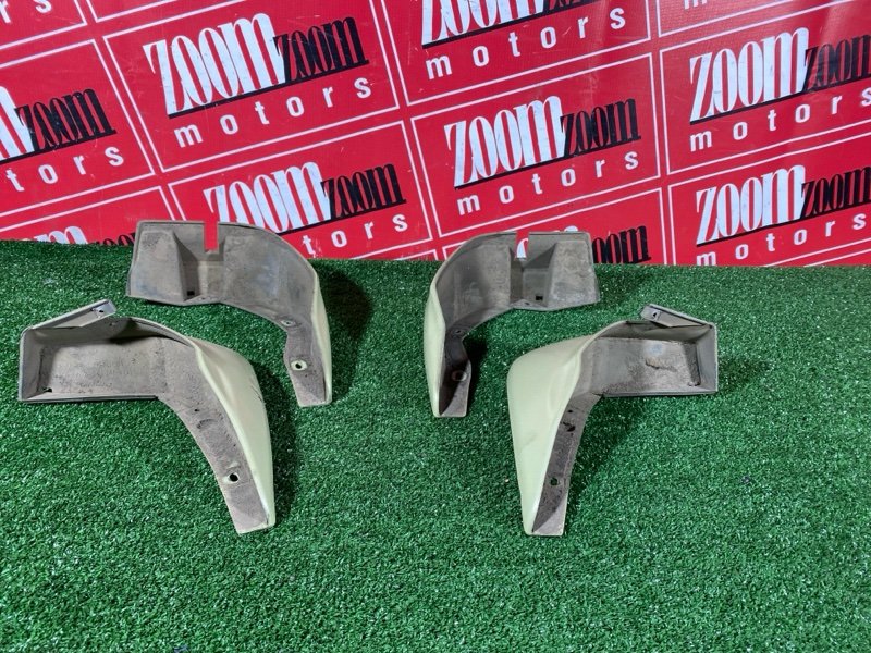 Брызговик, 1000 рублей, Солонцы