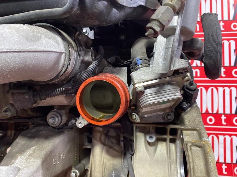 Двигатель, 142500 рублей, Солонцы