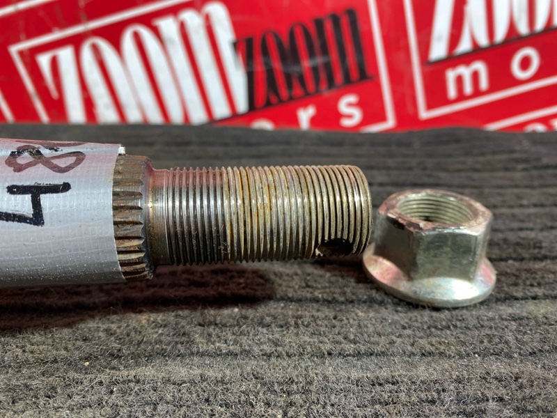 Привод, 1900 рублей, Солонцы