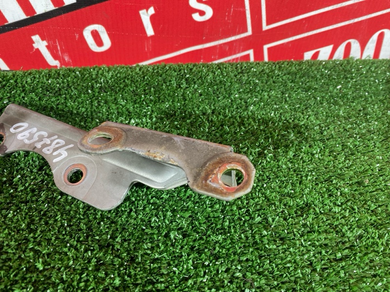 Петля (Шарнир капота), 800 рублей, Солонцы