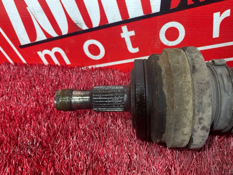 Привод, 800 рублей, Солонцы