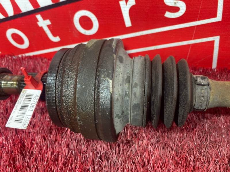 Привод, 800 рублей, Солонцы