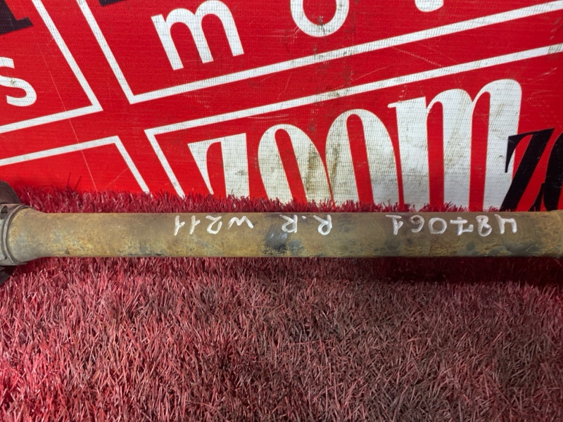 Привод, 800 рублей, Солонцы