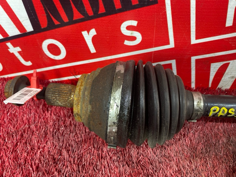 Привод, 3500 рублей, Солонцы