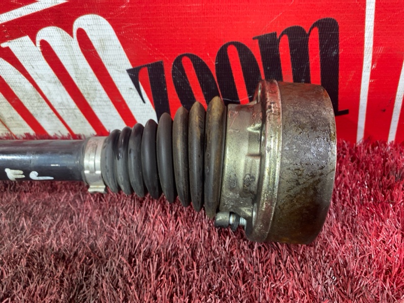 Привод, 3500 рублей, Солонцы