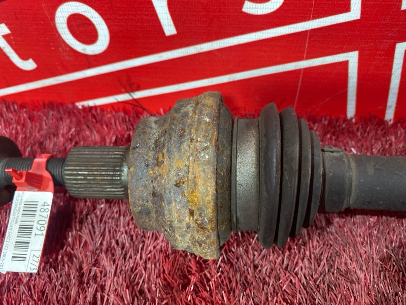 Привод, 2400 рублей, Солонцы