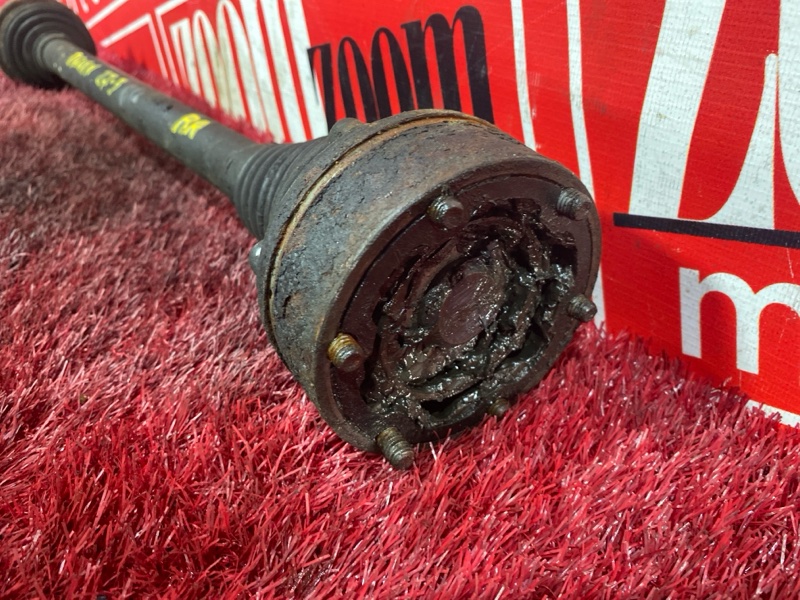 Привод, 2400 рублей, Солонцы